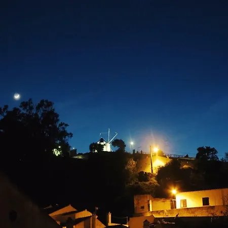 Modern Beautiful House