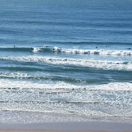 Modern Beautiful House 別荘 オデセイシェ